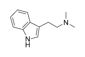 DMT